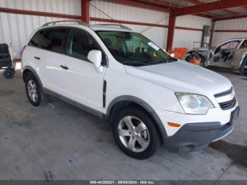  Salvage Chevrolet Captiva