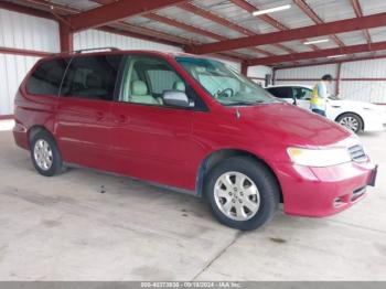  Salvage Honda Odyssey