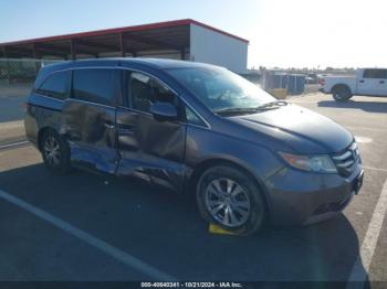  Salvage Honda Odyssey