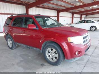  Salvage Ford Escape