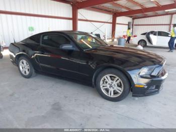  Salvage Ford Mustang