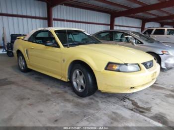  Salvage Ford Mustang