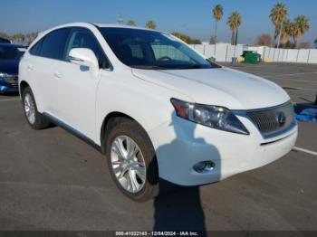  Salvage Lexus RX