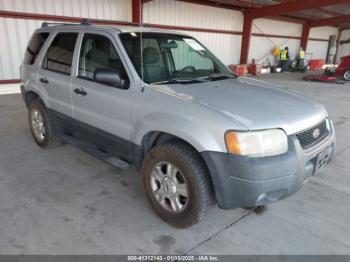  Salvage Ford Escape