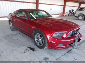  Salvage Ford Mustang