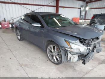  Salvage Nissan Maxima