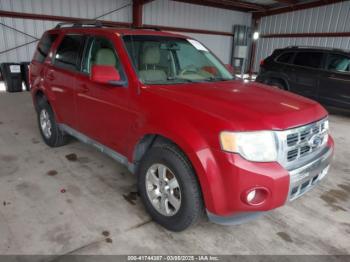  Salvage Ford Escape