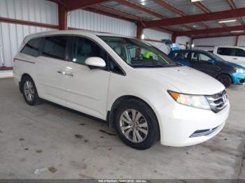 Salvage Honda Odyssey
