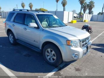  Salvage Ford Escape