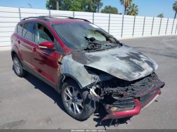  Salvage Ford Escape