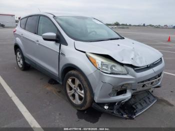  Salvage Ford Escape