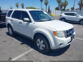  Salvage Ford Escape