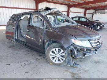  Salvage Honda Odyssey