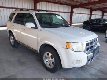  Salvage Ford Escape