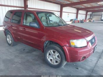  Salvage Ford Escape