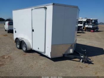  Salvage Cargo Trailer