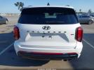 Hyundai PALISADE Calligraphy Night Edition Image 11