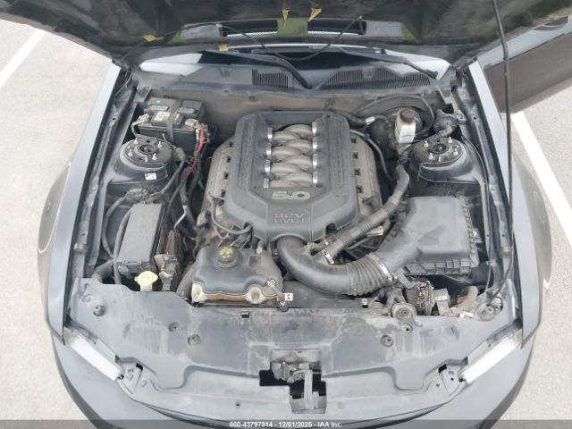 Ford Mustang Gt Image 9