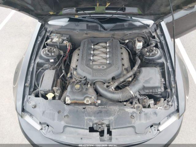 Ford Mustang Gt Image 9