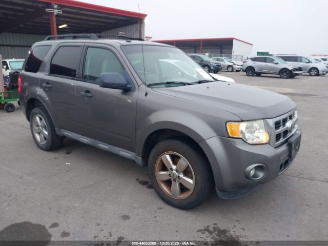 Ford Escape Xlt Image 1