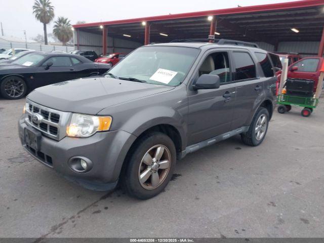 Ford Escape Xlt Image 4