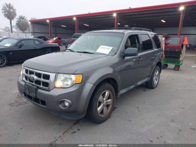 Ford Escape Xlt Image 6