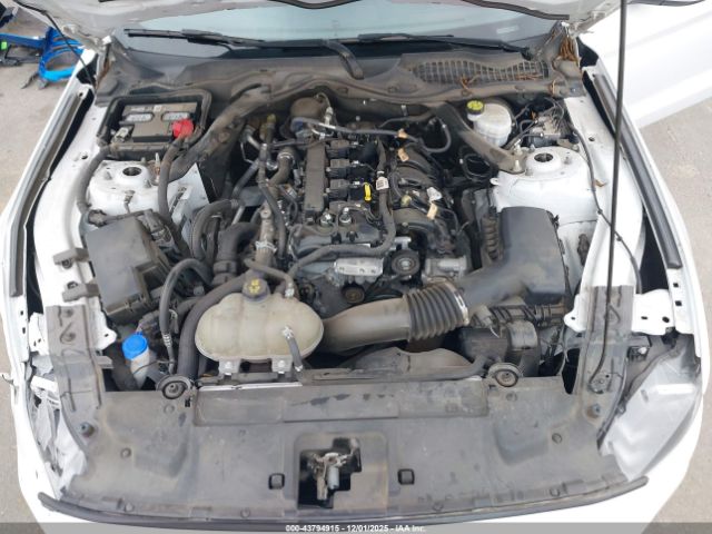 Ford Mustang Ecoboost Premium Image 12