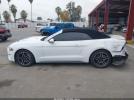 Ford Mustang Ecoboost Premium Image 16