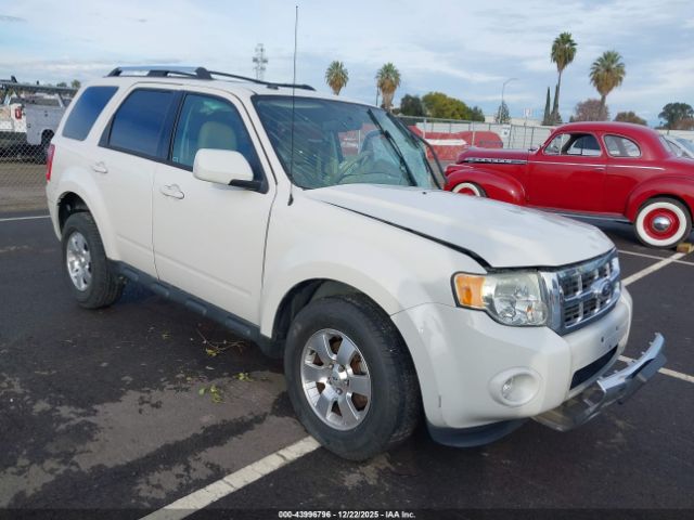 Ford Escape Limited Image 1