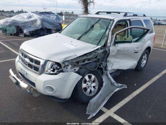 Ford Escape Limited Image 3