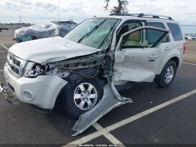 Ford Escape Limited Image 13