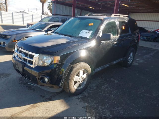 Ford Escape Xlt Image 3