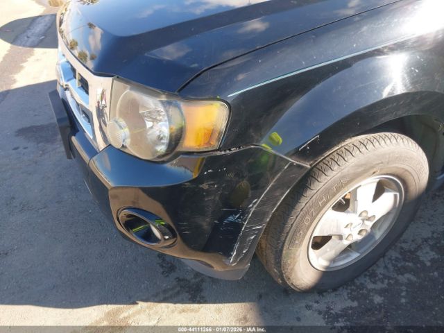 Ford Escape Xlt Image 5