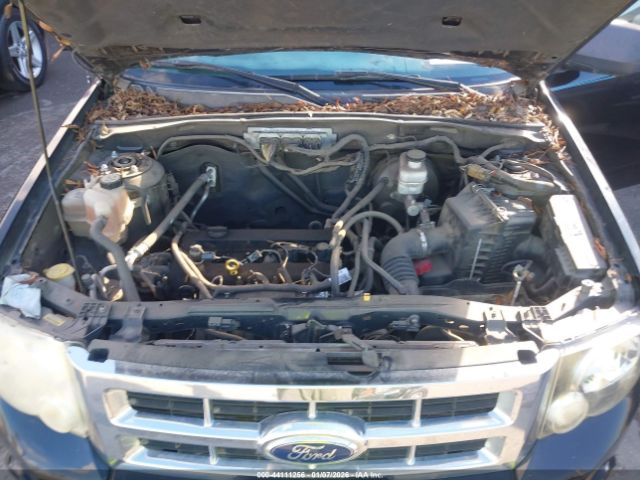 Ford Escape Xlt Image 10