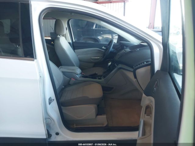 Ford Escape Se Image 10