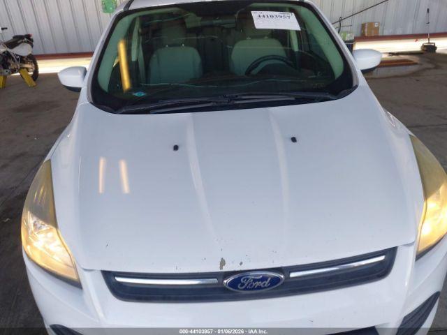 Ford Escape Se Image 5