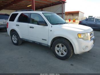  Salvage Ford Escape