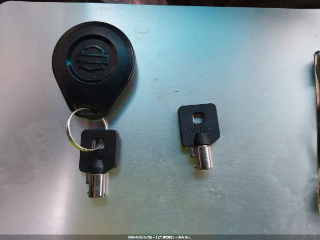 Harley-Davidson Flhtk Image 7